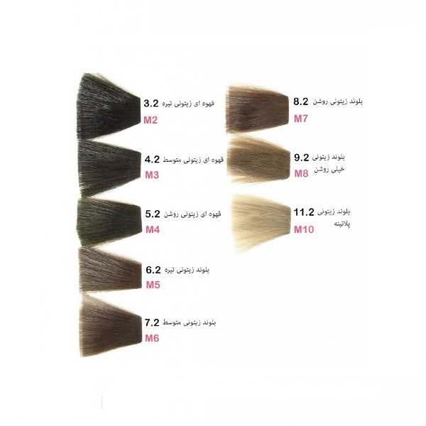 خرید رنگ موی پادینا سری زیتونی - رنگ پادینا سری M فروشگاه اینترنتی لردشاپ|lordshop
